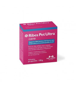 Ribes pet ultra